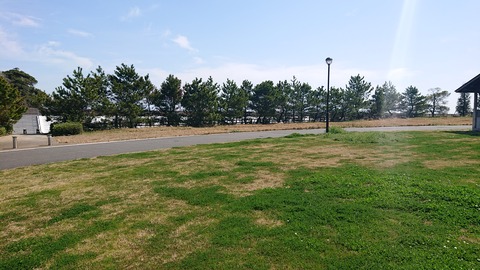 93-79(48-43)行橋市オートキャンプ場263