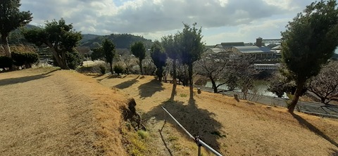 135-120(34-34)草枕山荘30_125549