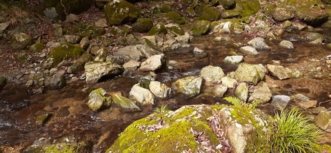 202-186(44-43)八木山渓流公園325_110245