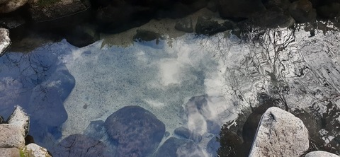 251-232(40-37)伽藍岳ゲリラキャン302_153243