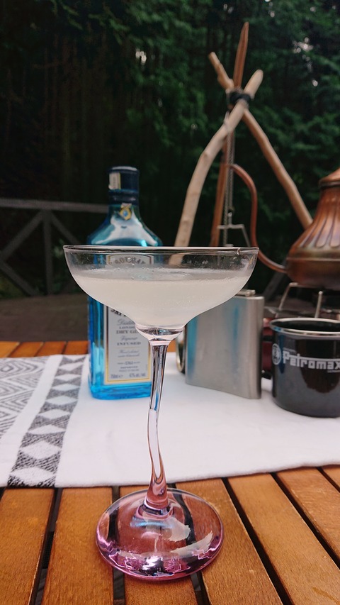 118-103(17-17)グランピングKAWASAKI２72S