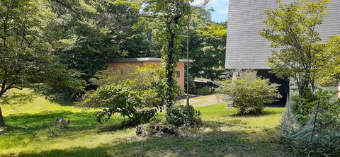 164-149(6-6)長野山緑地公園702_112244