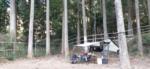 138-123(37-37)sleepy cafe nico22_144247