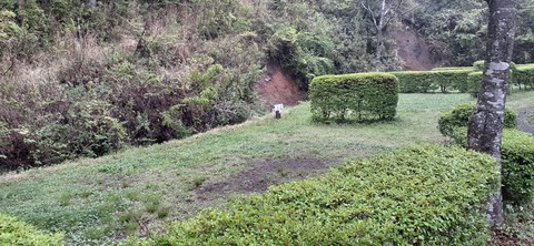 152-137(51-51)阿蘇夢蛍キャンプ場429_130915