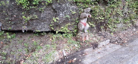 156-141(55-55)鹿川キャンプ場505_161659