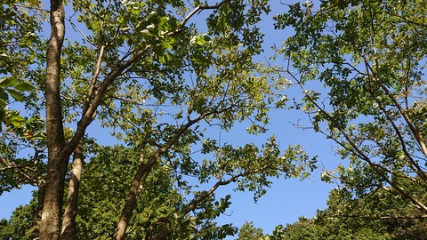 19-16お牧山公園キャンプ場592