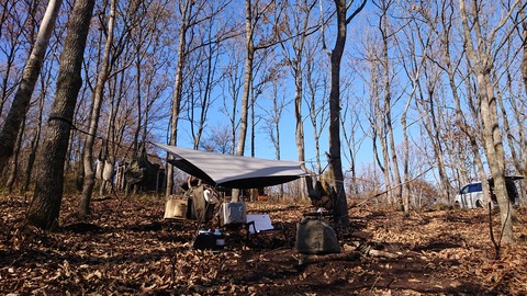 126-111(25-25)CAMP✕WOODS350