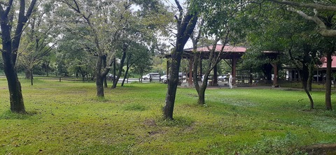 229-212(18-17)竹原牧場916_124548