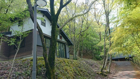 96-81(51-45)伐株山憩いの森606