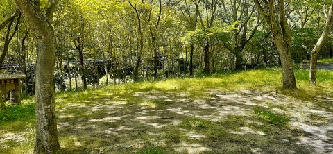 214-198(3-3)オートキャンプ竜門603_125127