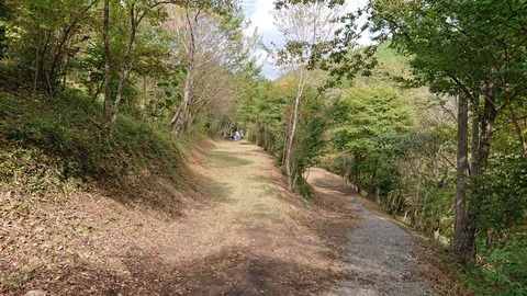 122-107(21-21)阿蘇レインボーバレー791