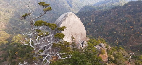 236-219(25-24)大崩山1104_145418