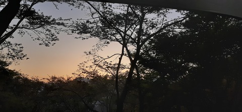 255-236(44-41)味見桜公園413_183155