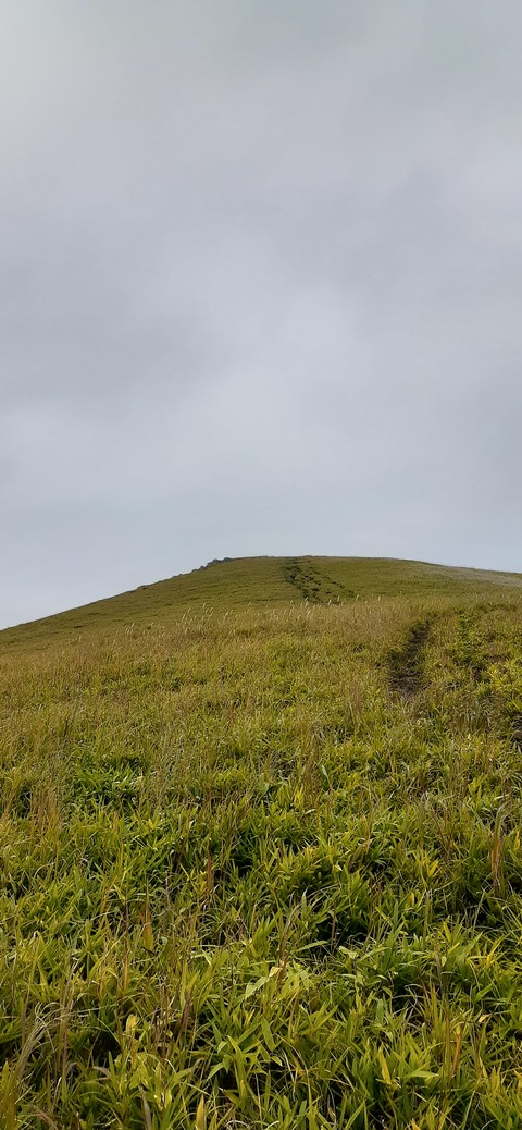 233-216(22-21)9.BASE1014_140639