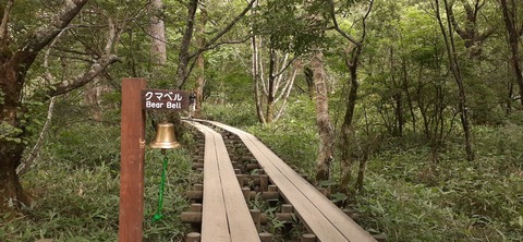 271-251(8-7) 上高地穂高岳813_145045