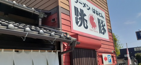 255-236(44-41)味見桜公園 跳豚413_105133