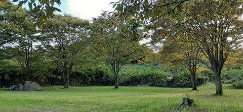 176-161(18-18)坊中野営場1008_164622