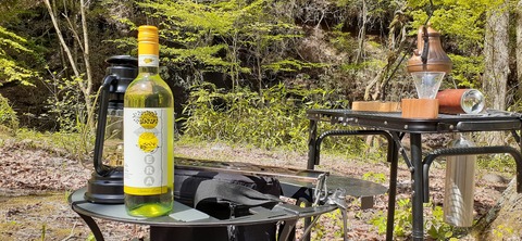 153-138(52-52)マゼノ 甲の瀬キャンプ村430_134916