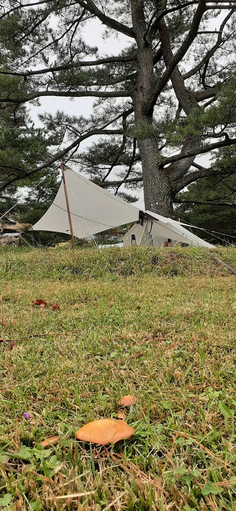 177-162(19-19)HGP南阿蘇OSCAMP1009_155654