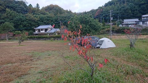 67-54(22-18)辻河原公園キャンプ場160S