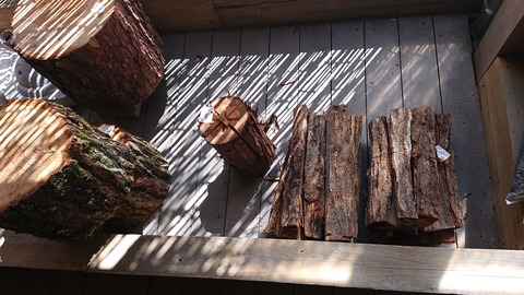 95-80(50-44)小鳥の森キャンプ場447