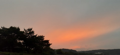 161-146(3-3)来浦キャンプ場611_191902