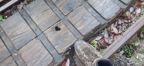 259-240(48-45)宮之浦岳新高塚小屋430_060126