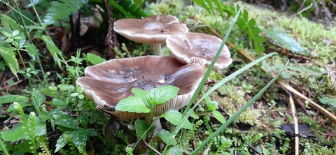 151-136(50-50)423湯の浦総合キャンプ場_173027