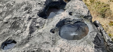 251-232(40-37)伽藍岳ゲリラキャン303_101608