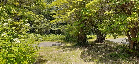 164-149(6-6)長野山緑地公園702_132910