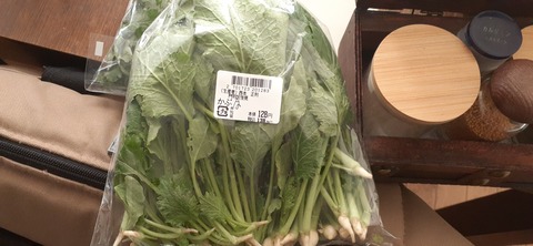 242-225(31-30)トゥーリキャンプサイト1202_102832