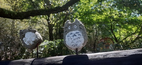 154-139(53-53)中岳キャンプ場503_151240