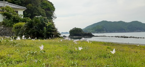 162-147(4-4)下梶寄キャンプ場612_164145