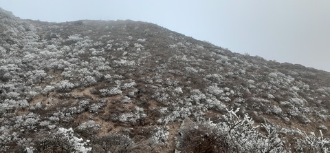 250-231(39-36)RECAMP志高湖 由布岳211_073336