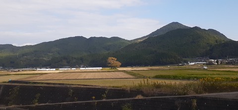 234-217(23-22)広川原キャンプ場1029_104801