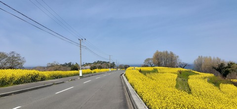 203-187(45-44)長崎鼻リゾートキャンプ場401_112007