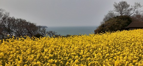 254-235(43-40)長崎鼻リゾート②330_120823