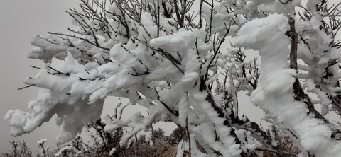 250-231(39-36)RECAMP志高湖 由布岳211_071949