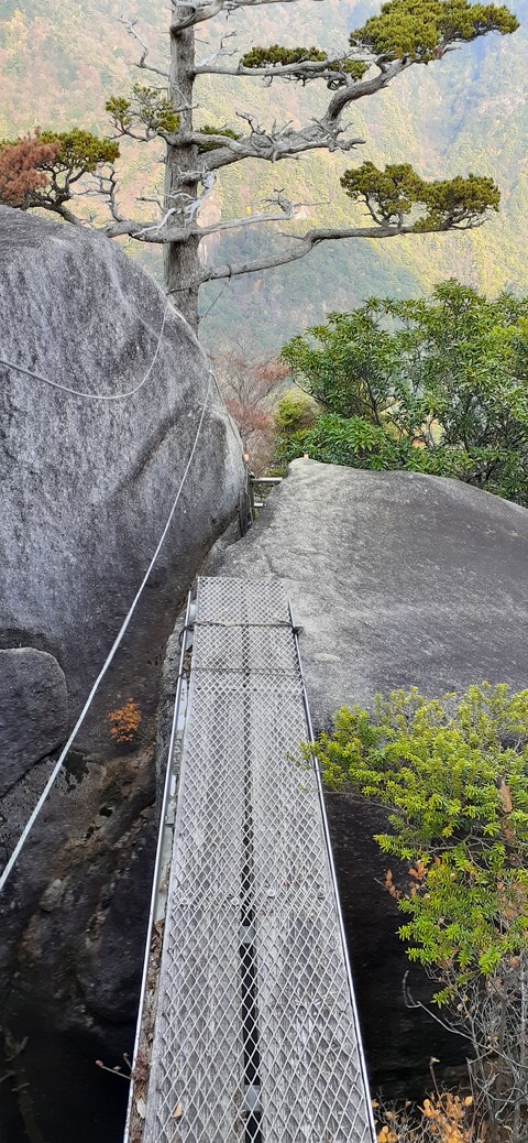 236-219(25-24)大崩山1104_150056