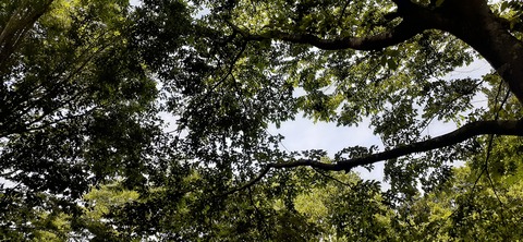 160-145(2-2)グランピング川崎3回目528_133230