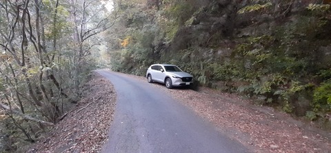 236-219(25-24)大崩山1104_170634R