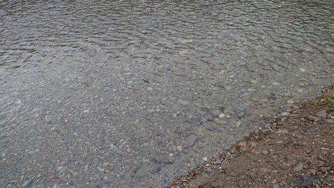 91,92-77,78(46,47-41,42)阿武川河川公園220S