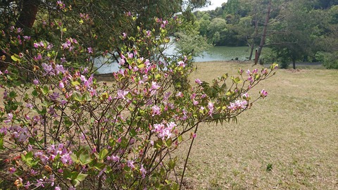 97-82(52-46)江汐公園キャンプ場678