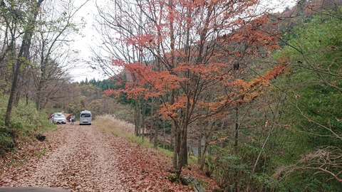 73-60(28-24)よかろうパーク597SR