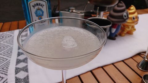 118-103(17-17)グランピングKAWASAKI２75S