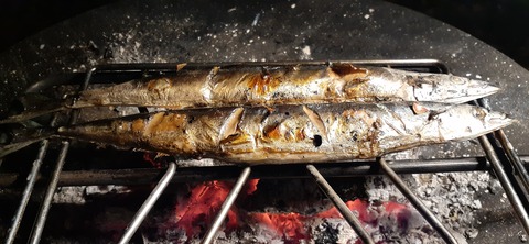 182-166(24-23)長湯きらりキャンプ場1105_183257