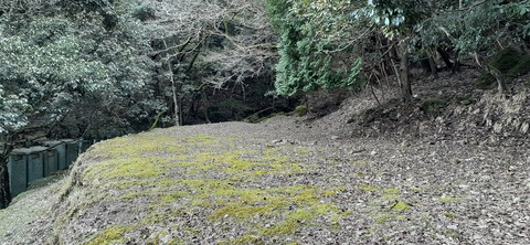 202-186(44-43)八木山渓流公園325_124206