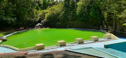 168-153(10-10)阿蘇ファンタジーの森806_122604