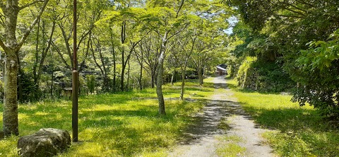 214-198(3-3)オートキャンプ竜門603_125047