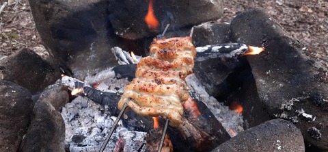 252-233(41-38)牧の原キャンプ場④309_163608